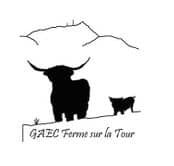 Logo Ferme Tour paint
