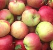Pommes