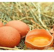 Oeufs-1