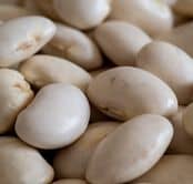 haricots